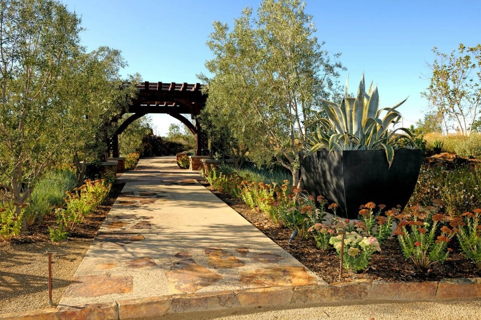 Slaughter Residence Traditional Landscape San Diego By Nature Designs Landscaping