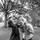 phaedra_taylor