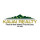 Kauai Realty, Inc.