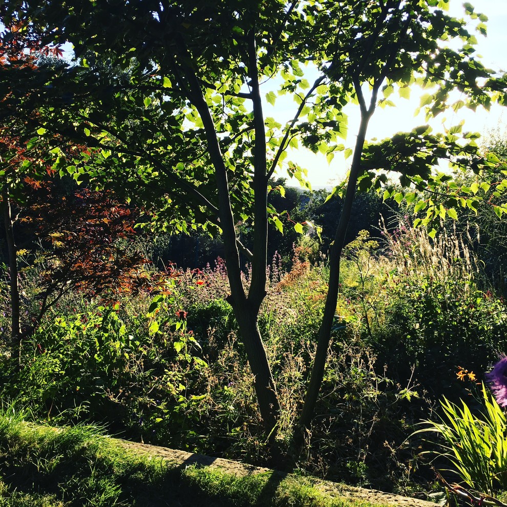 This is an example of a medium sized romantic front garden for summer in Other.