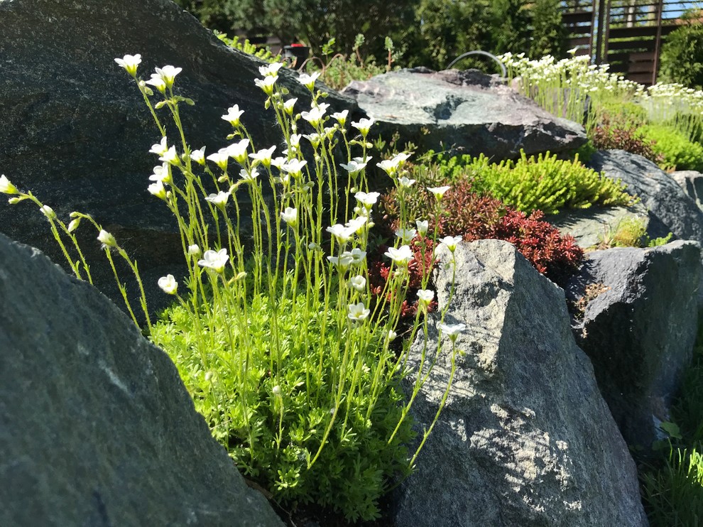 Современный ландшафтный дизайн.