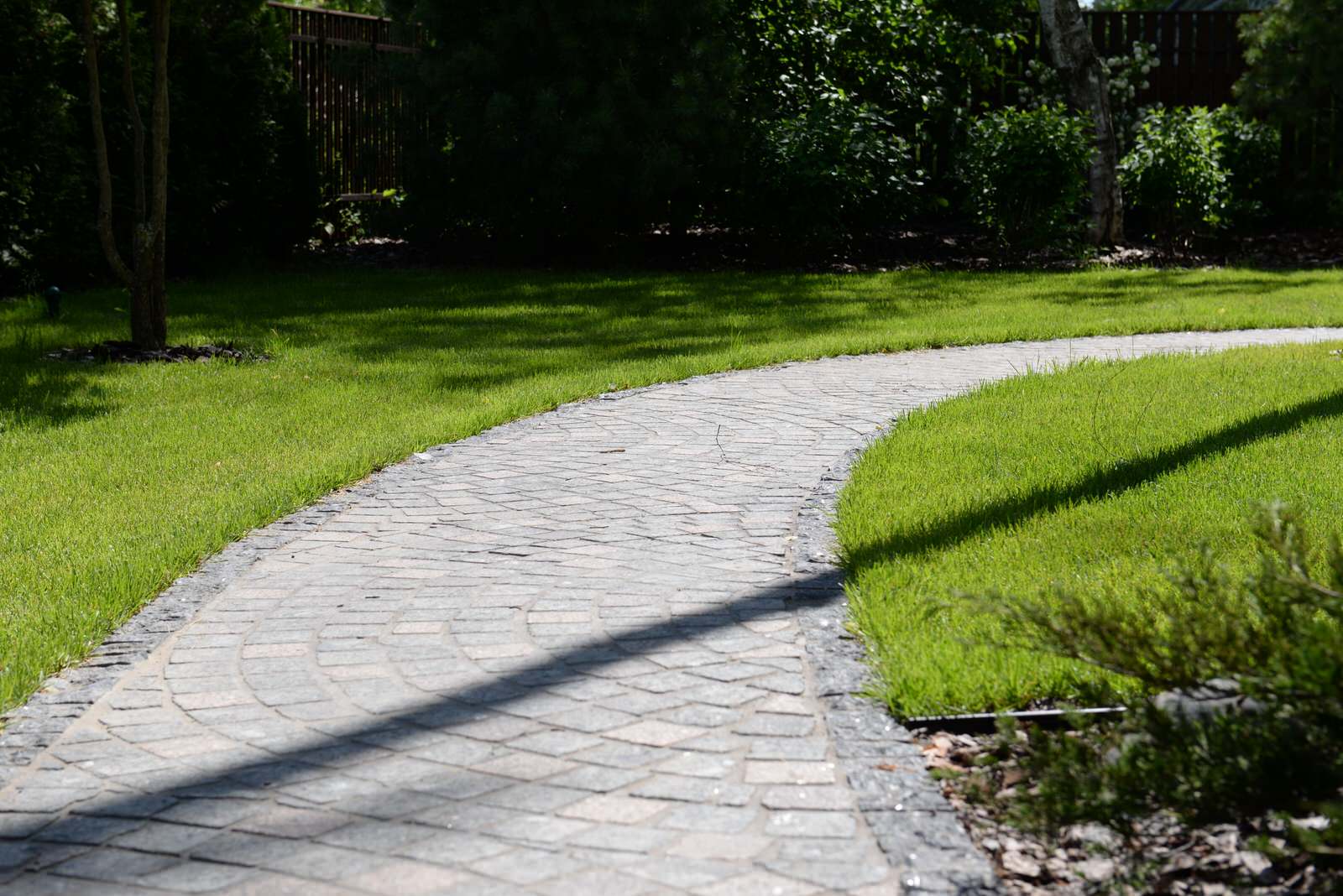 Новогорск 2021