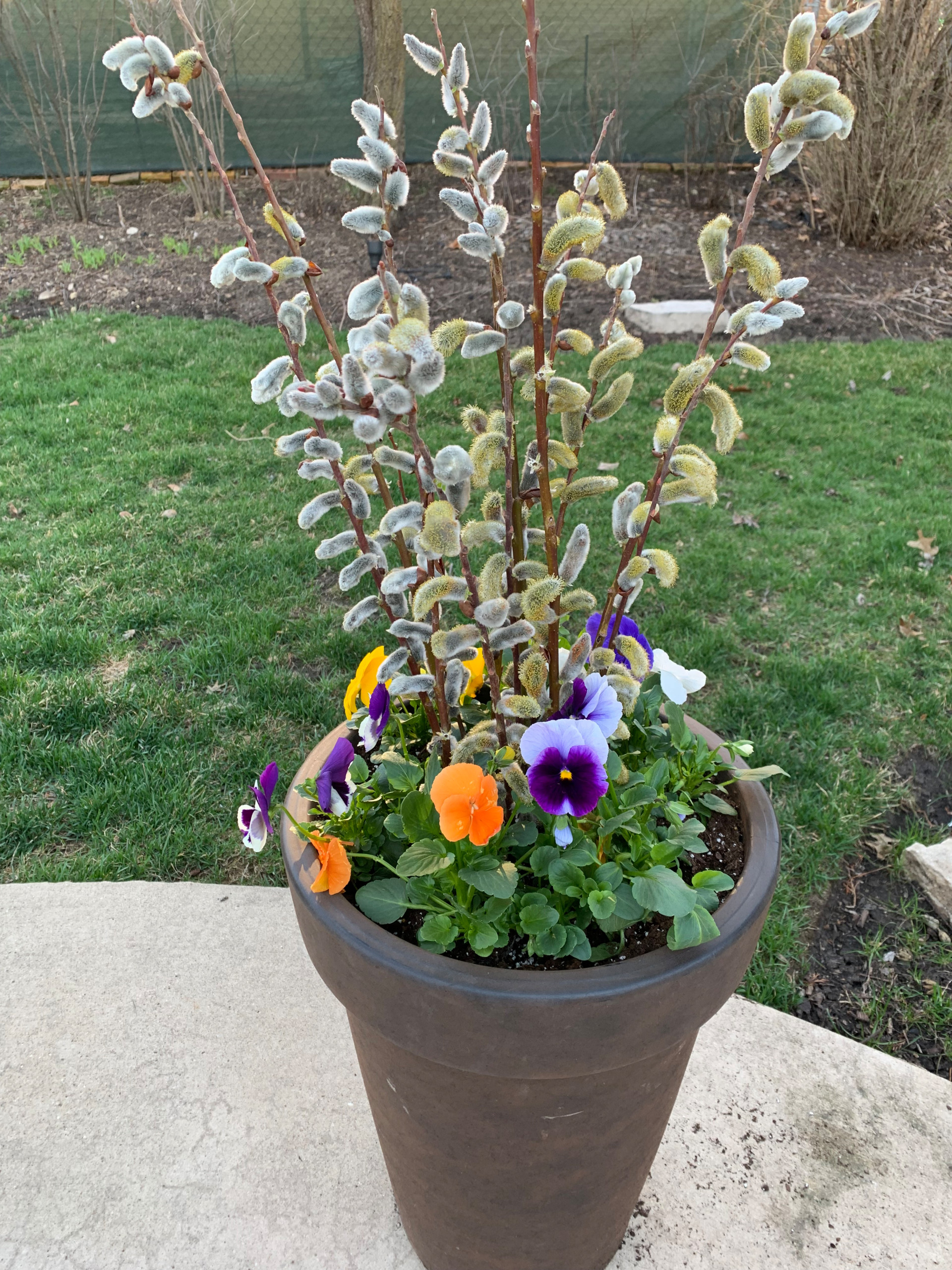 Spring Planter - Burkhart Outdoors Display