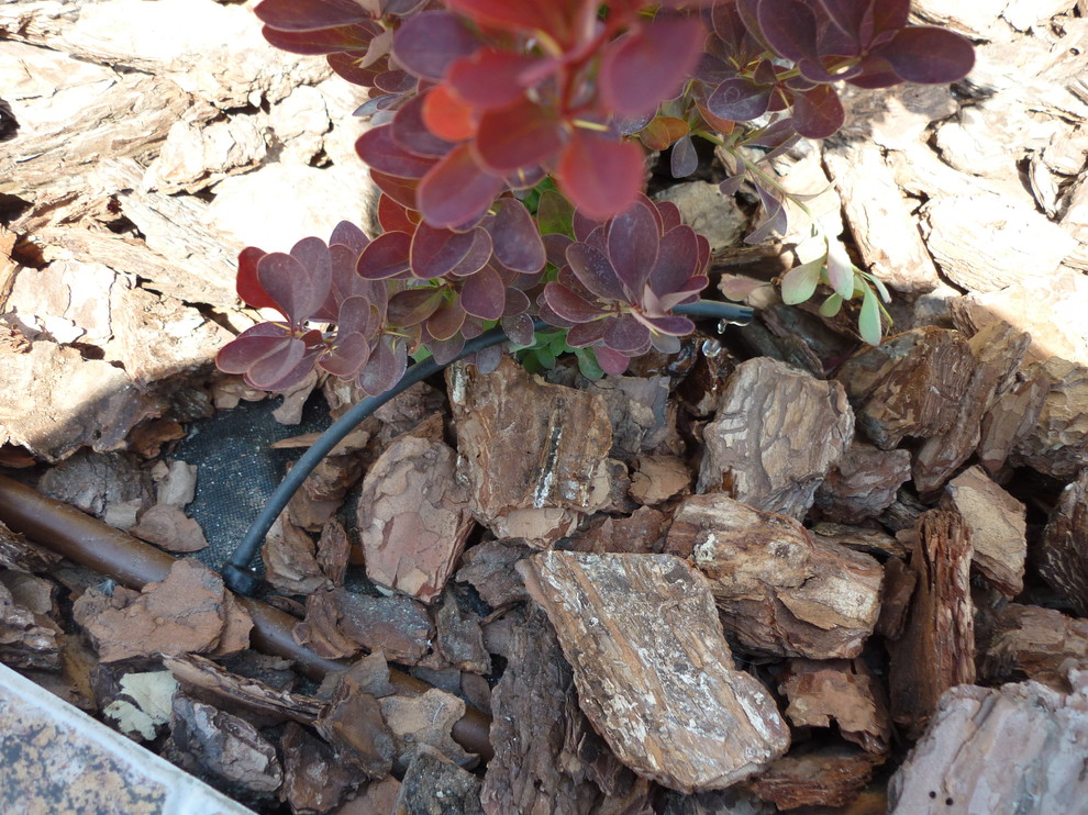 Системы автополива