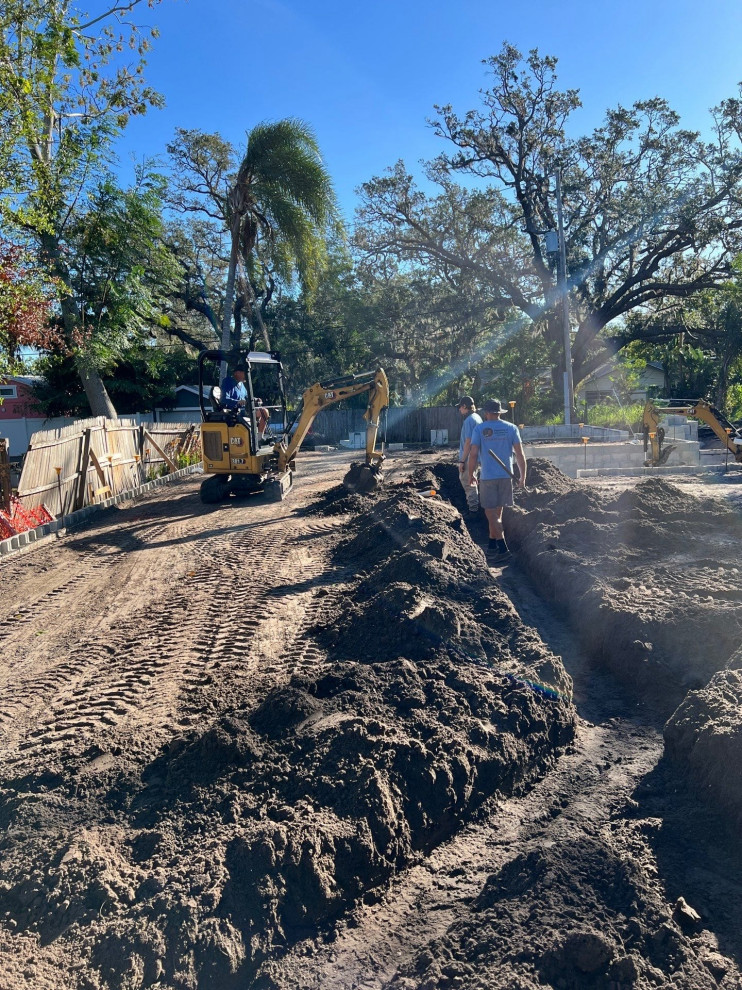 Safety Harbor Project 2024
