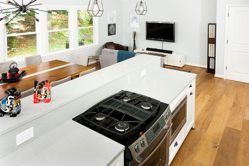 Inspiration for a transitional kitchen remodel in DC Metro
