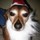 ralph_ford