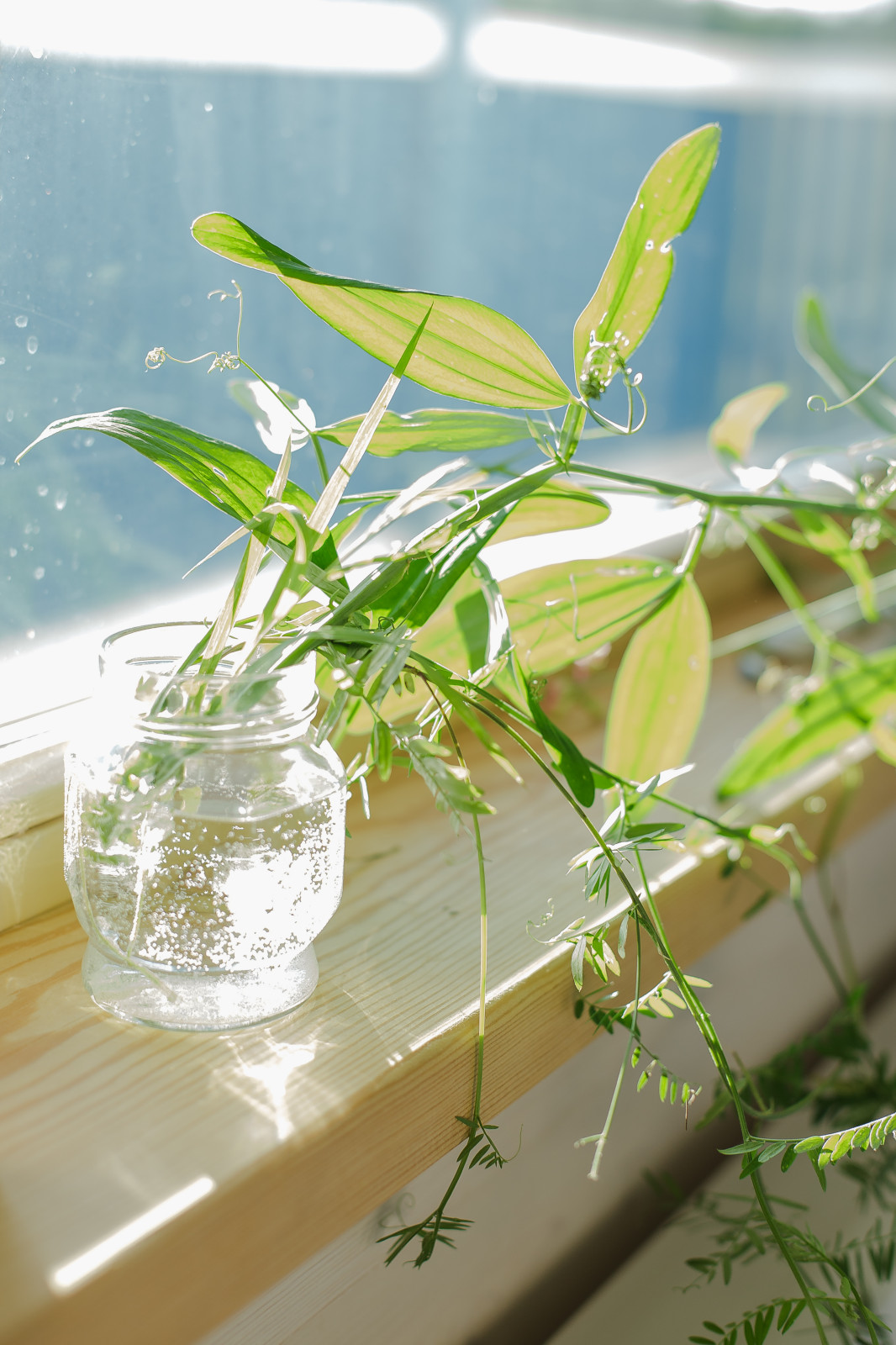 Concept House Store проект 2К двойной брус