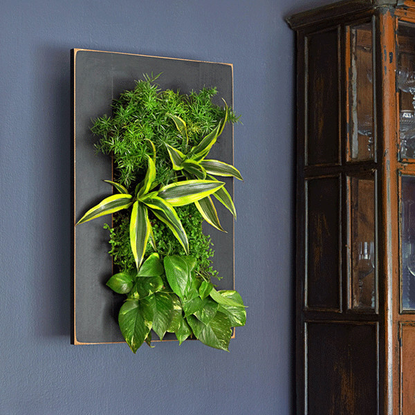 GroVert Living Wall Kit Contemporary Indoor Pots And Planters by