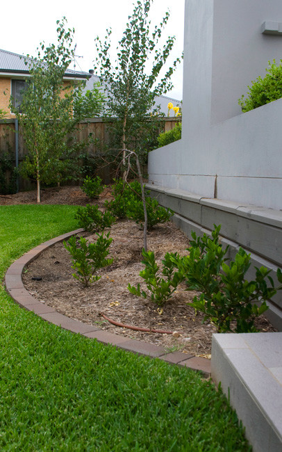 Photo of a small modern front yard partial sun formal garden for fall in Sydney with a garden path and brick pavers.