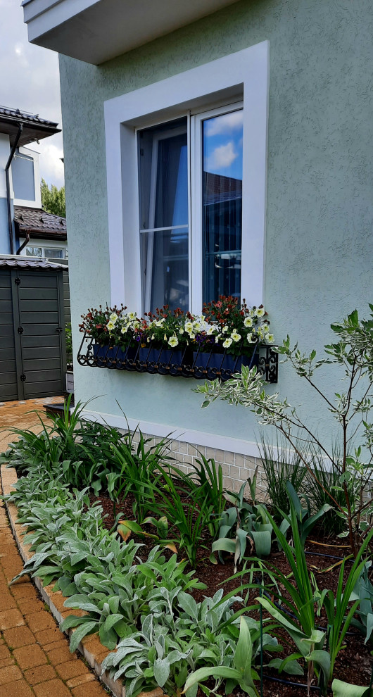 Foto di un piccolo giardino classico in ombra davanti casa in primavera con un giardino in vaso, pavimentazioni in cemento e recinzione in legno