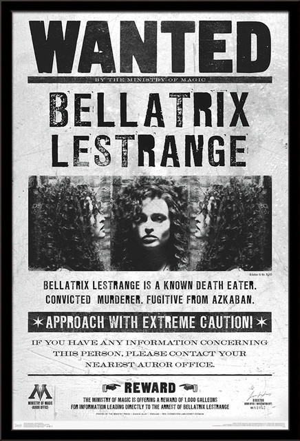 Harry Potter Wanted Bellatrix Poster - Contemporary - Prints And Posters -  by Trends International | Houzz