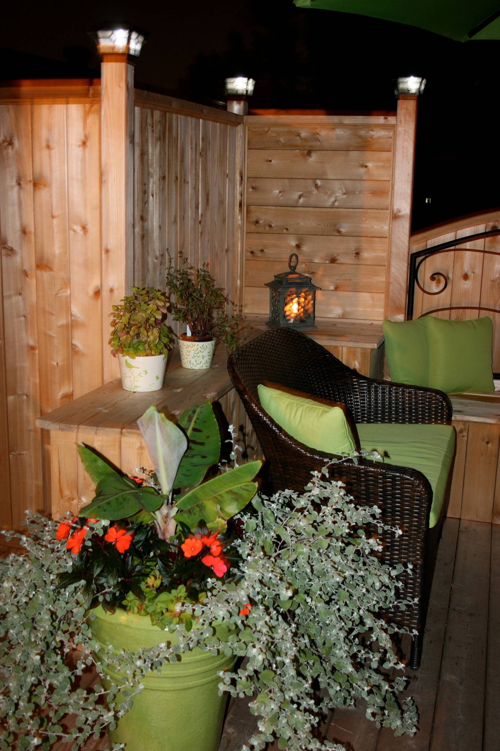Outdoors - Patio & Pergolla Oasis