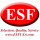 ESF Tading Inc