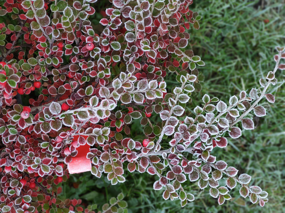 "Параллели"