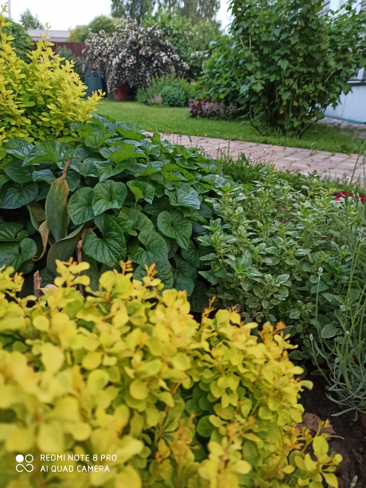 Ландшафт сада в 6 соток.