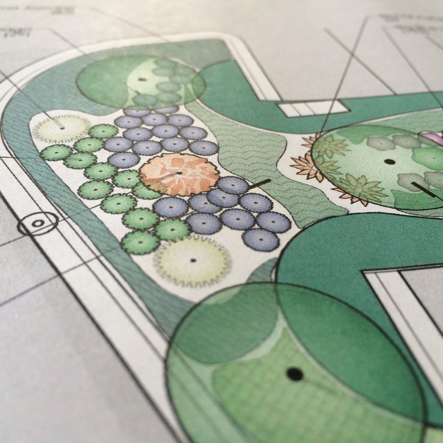 Color rendering rendering