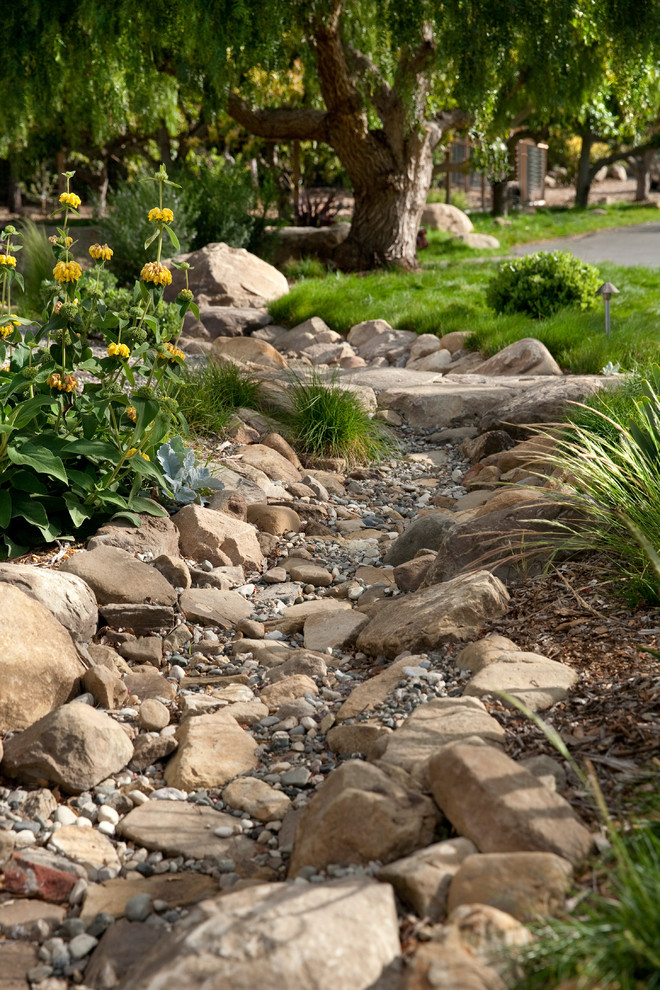 Photo of a transitional landscaping in Santa Barbara.