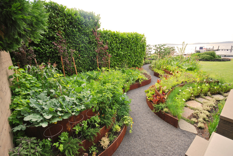 Contemporary garden in Seattle with a vegetable garden.