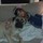 justin_tonnessen