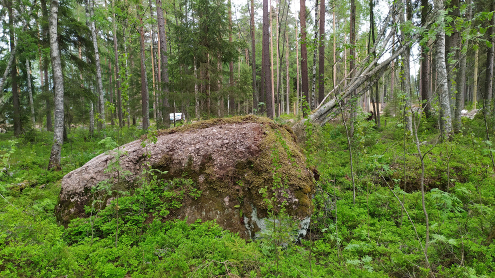 Лесная Ривьера