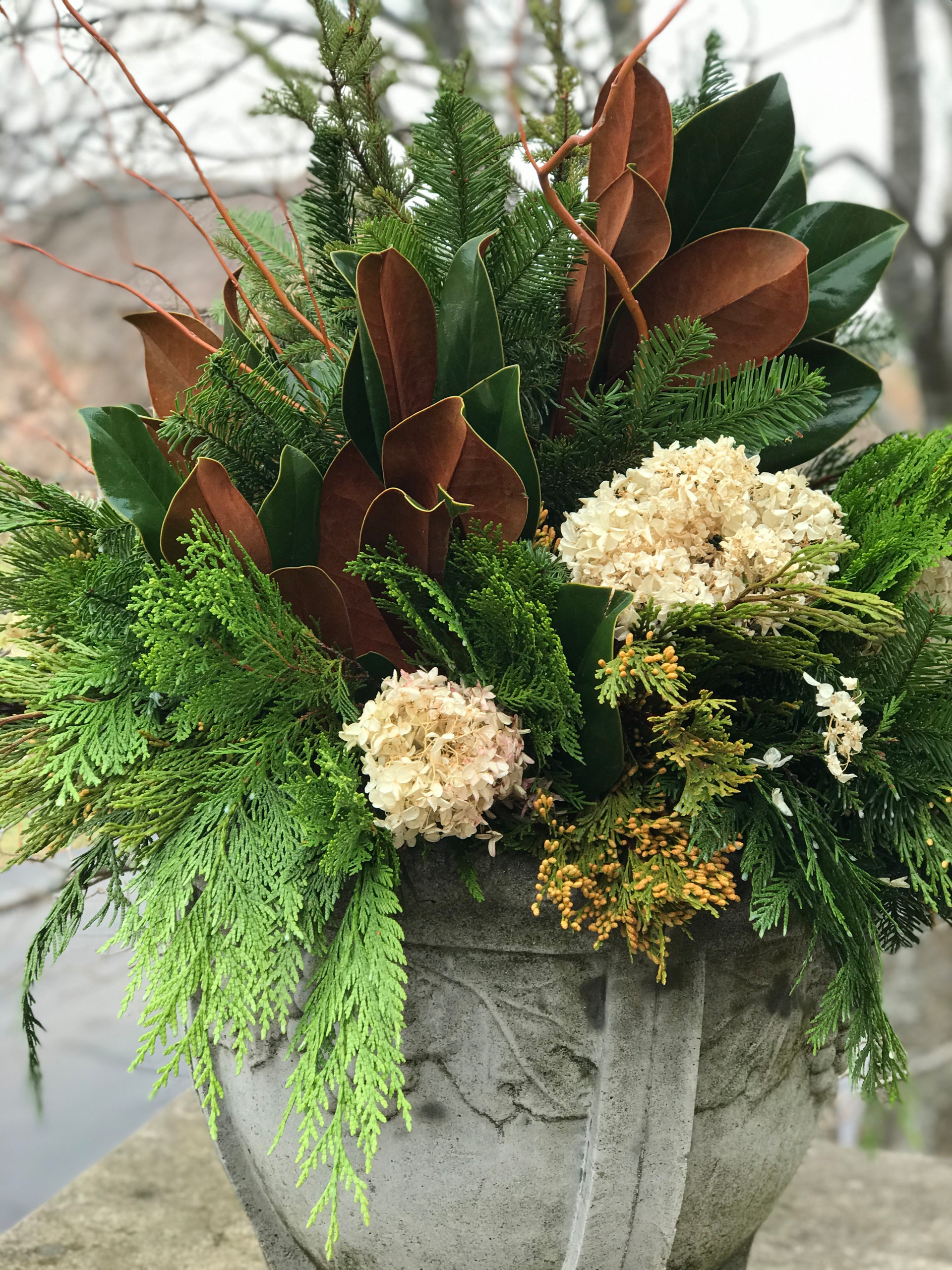 Winter containers and Holiday Decorations