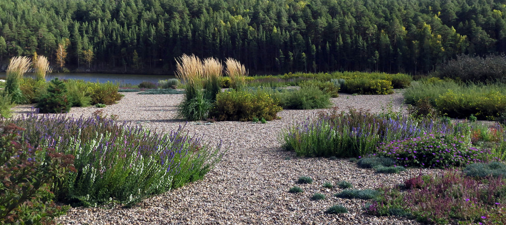 Полынный берег