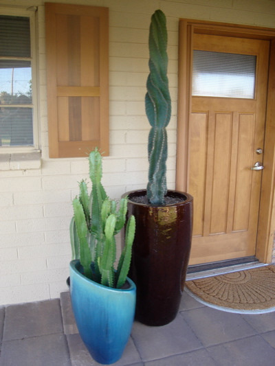 Midcentury AZ Ranch Remodel - NEW ADDITION TO HOME