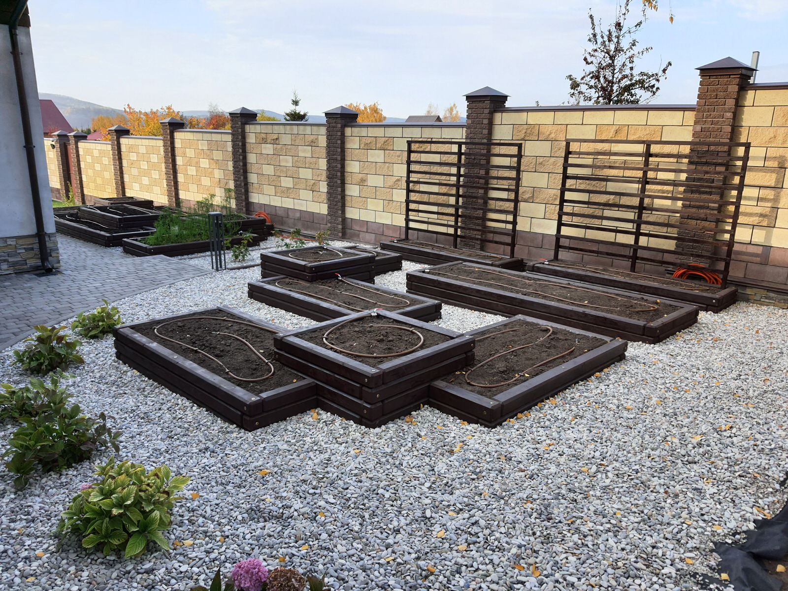 Сад с розами