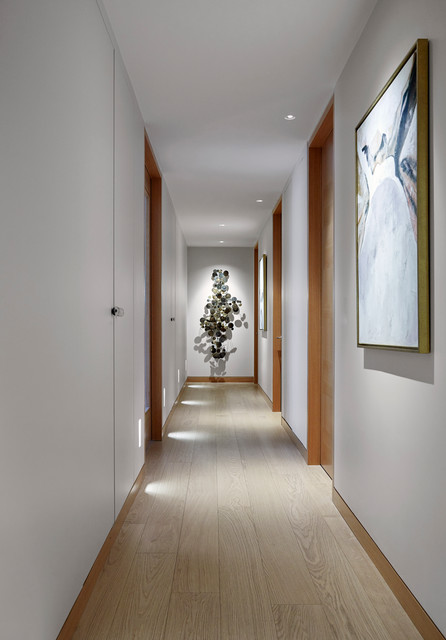 Hyde Park corner High End Development contemporary-hall
