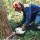 Tree Service experts Elk Grove