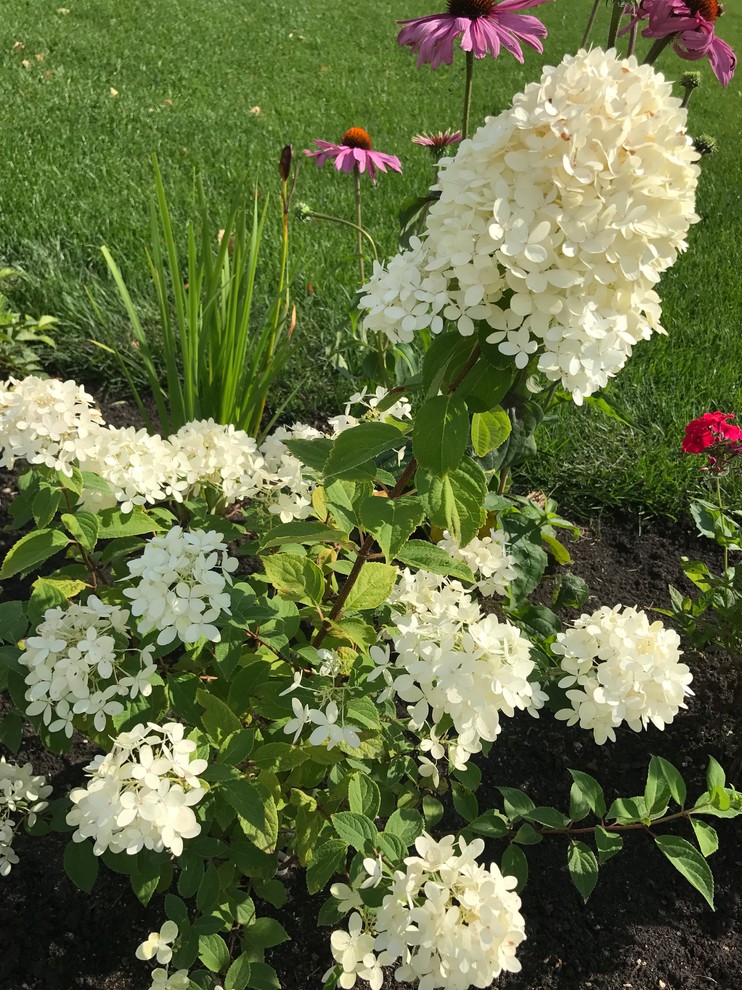 Малинки Виладж