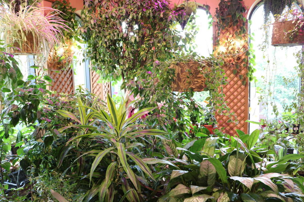 Зимние сады