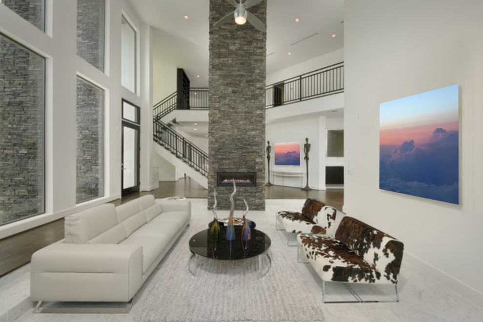 Home design - contemporary home design idea in San Diego
