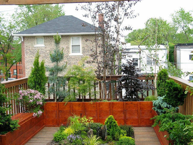 Inspiration for a contemporary deck in Chicago.