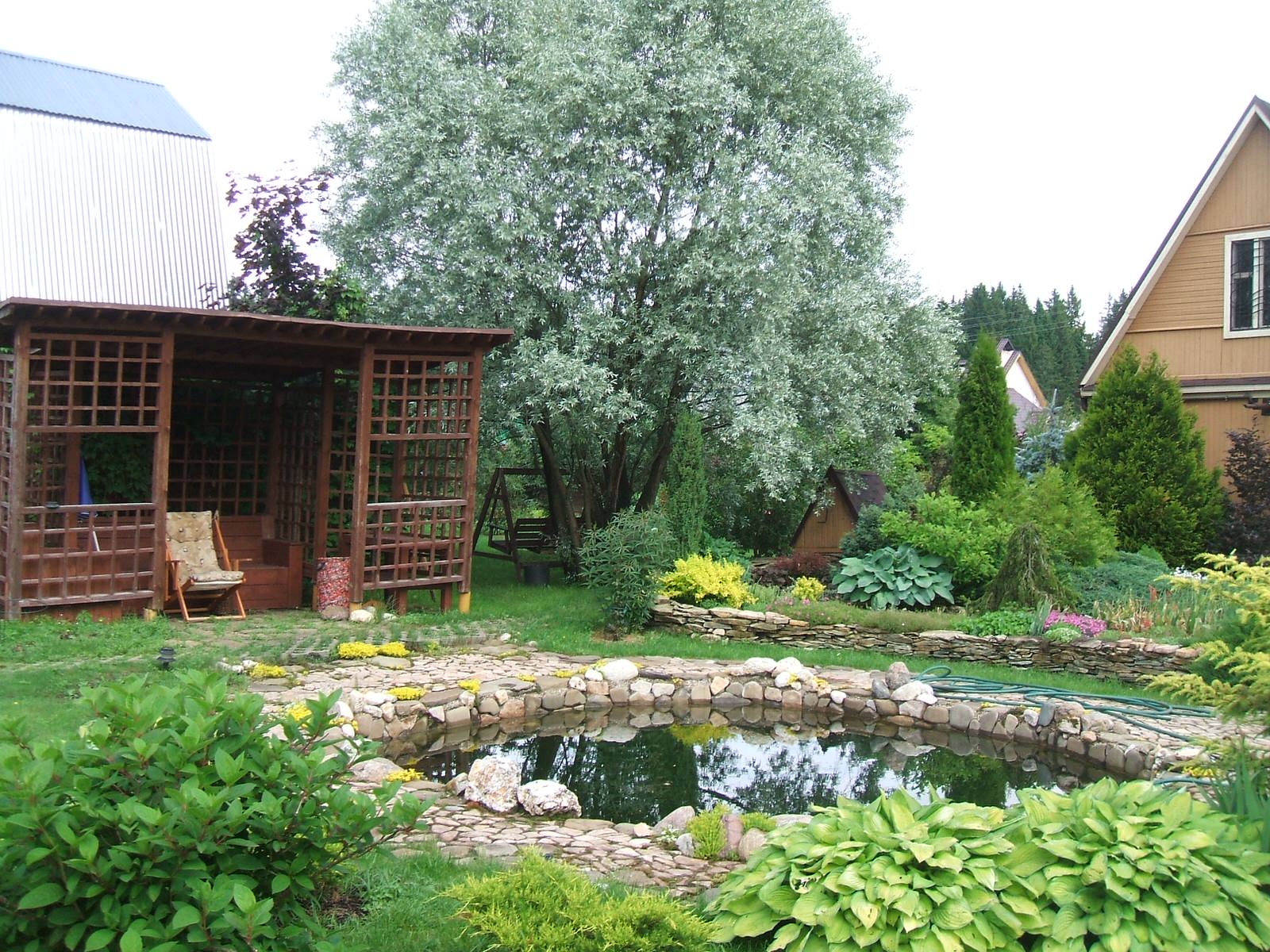 Ландшафт по Новорижскому шоссе