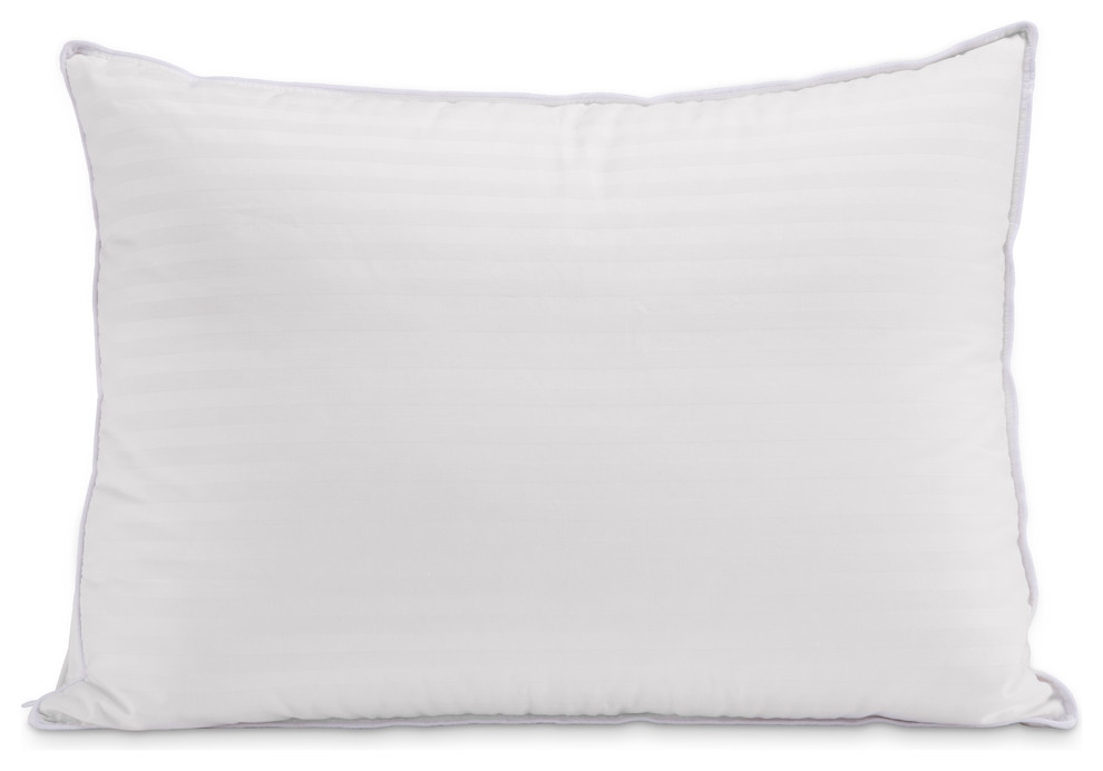 Layers Down Surround Pillow, Set of 2 Contemporary Bed Pillows by