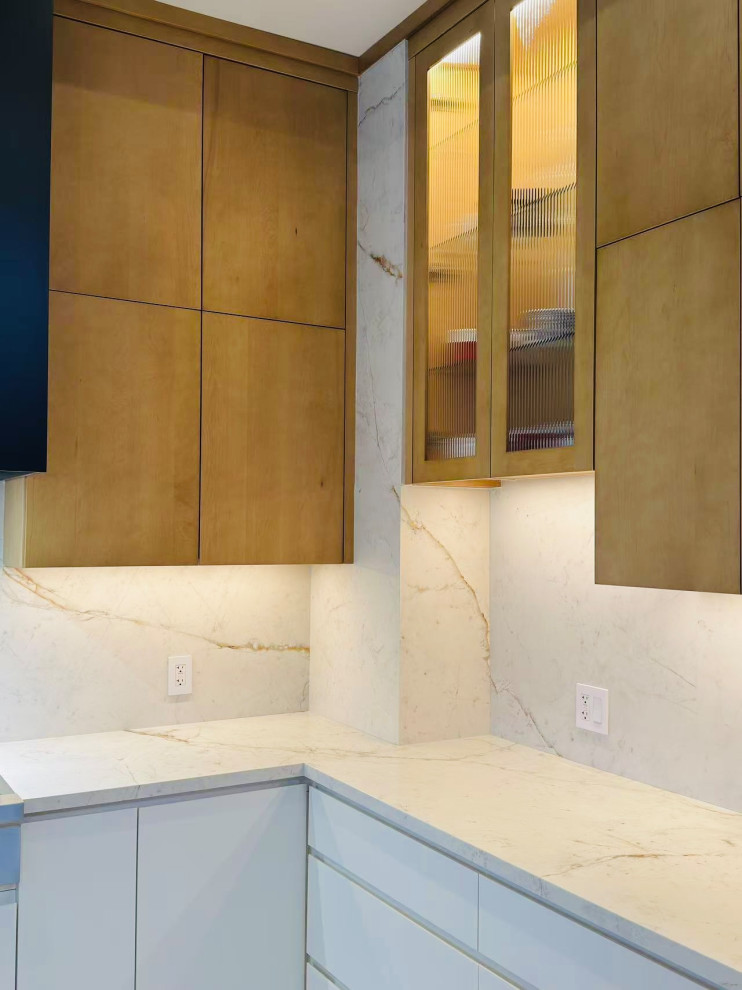Modern Minimalist Kitchen
