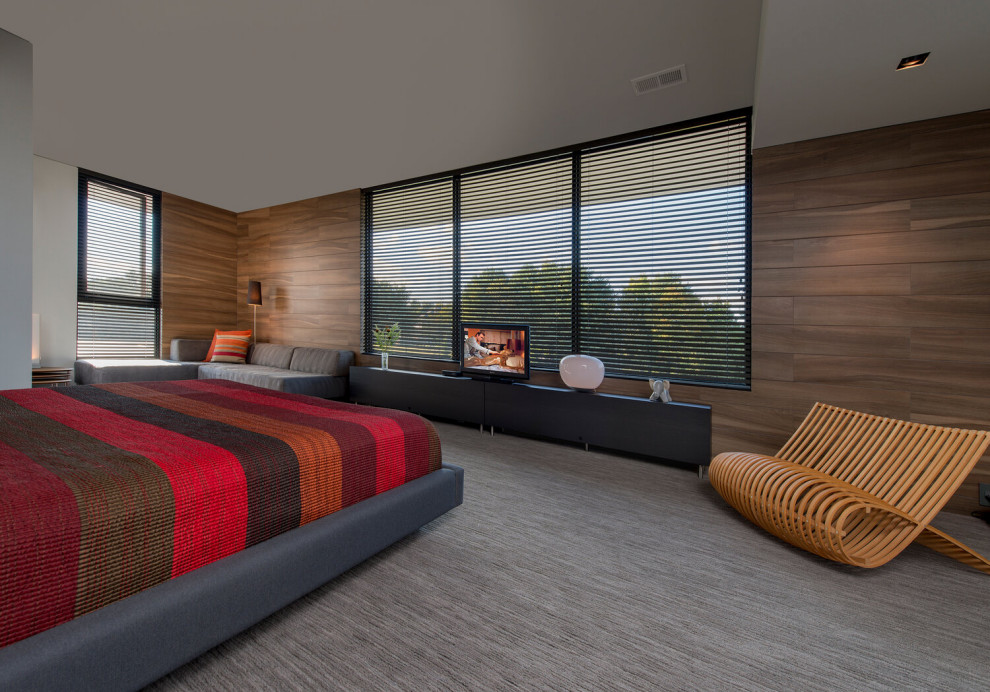 Foto de dormitorio principal contemporáneo grande con paredes marrones, moqueta, suelo gris y bandeja