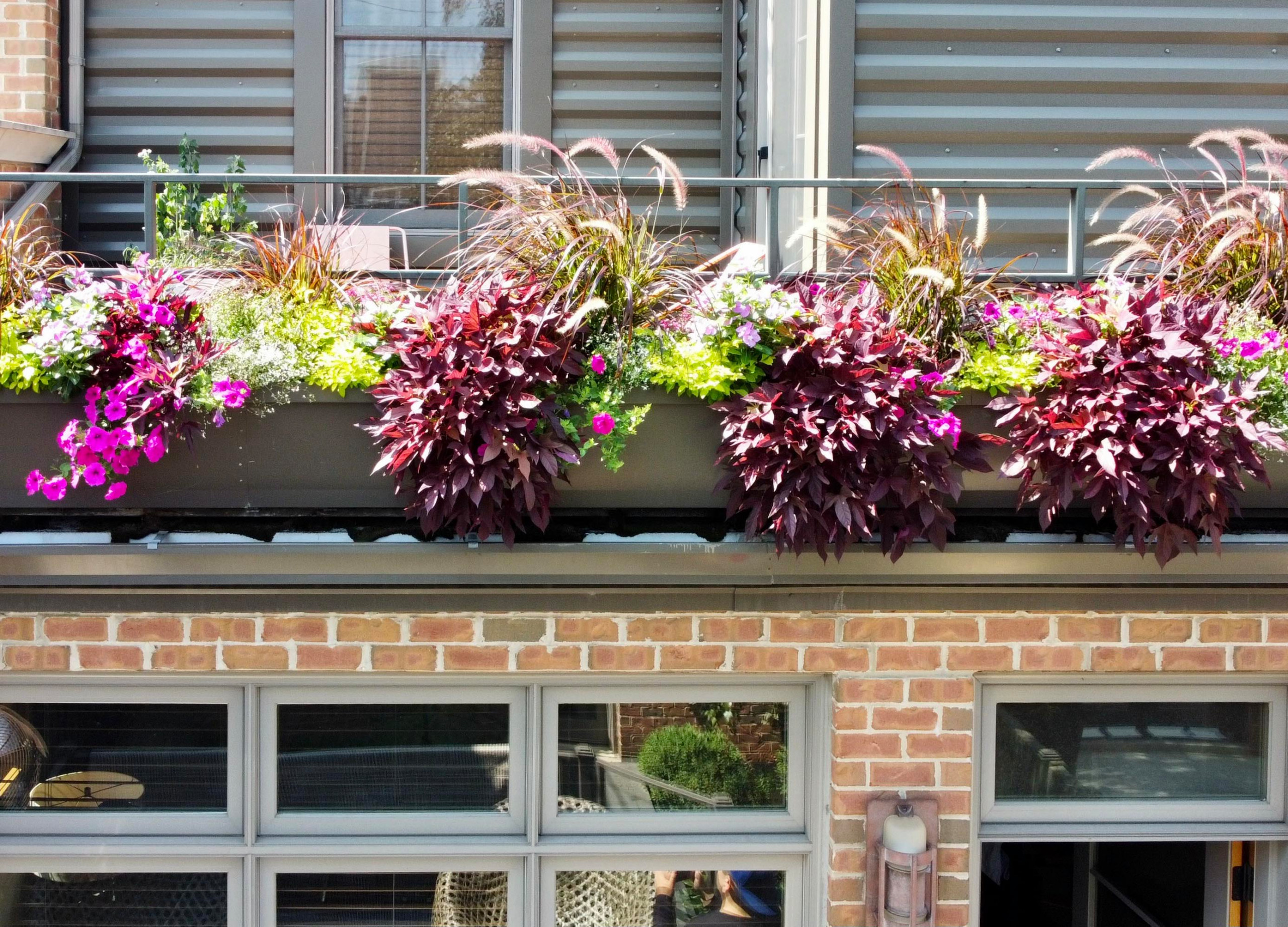 Fine Tuning an Established Garden