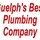 Guelph Plumbing Pro