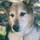 tammy_ross3198209