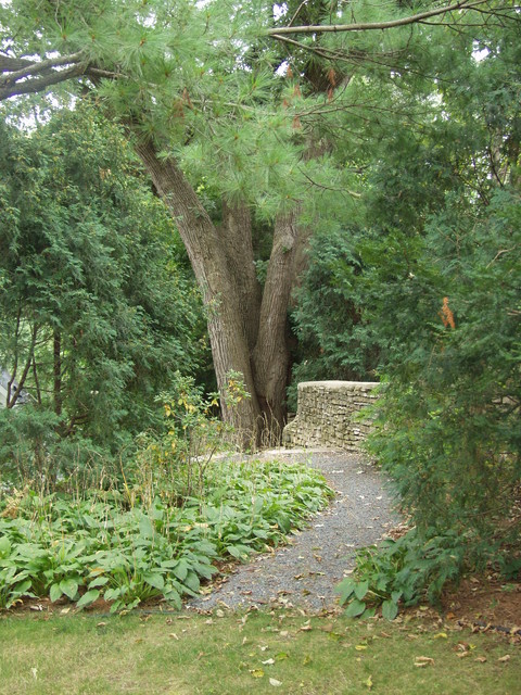 Recent Work garden