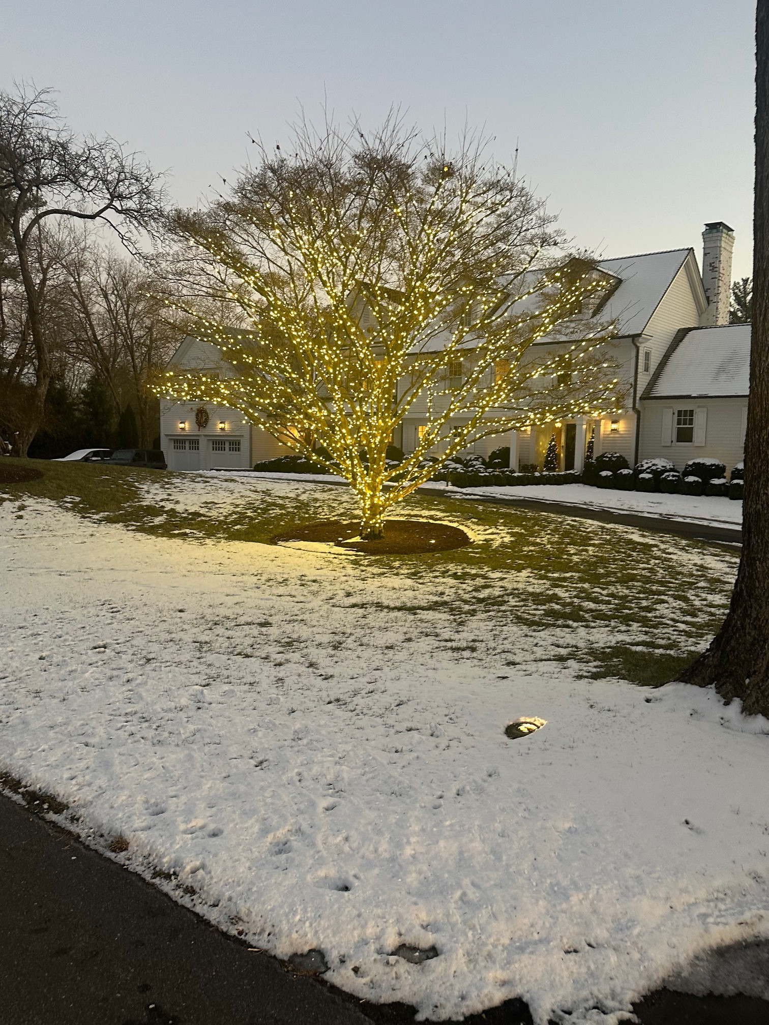Christmas Decorations and Outdoor Lights