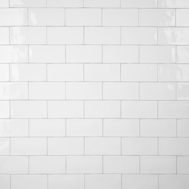 Castillo Glossy White Ceramic Wall Tile, Sample Traditional Wall