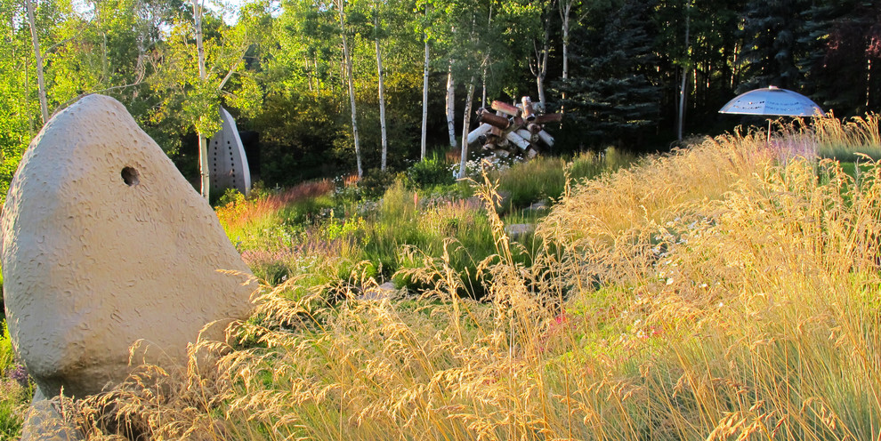This is an example of a contemporary garden in Denver.