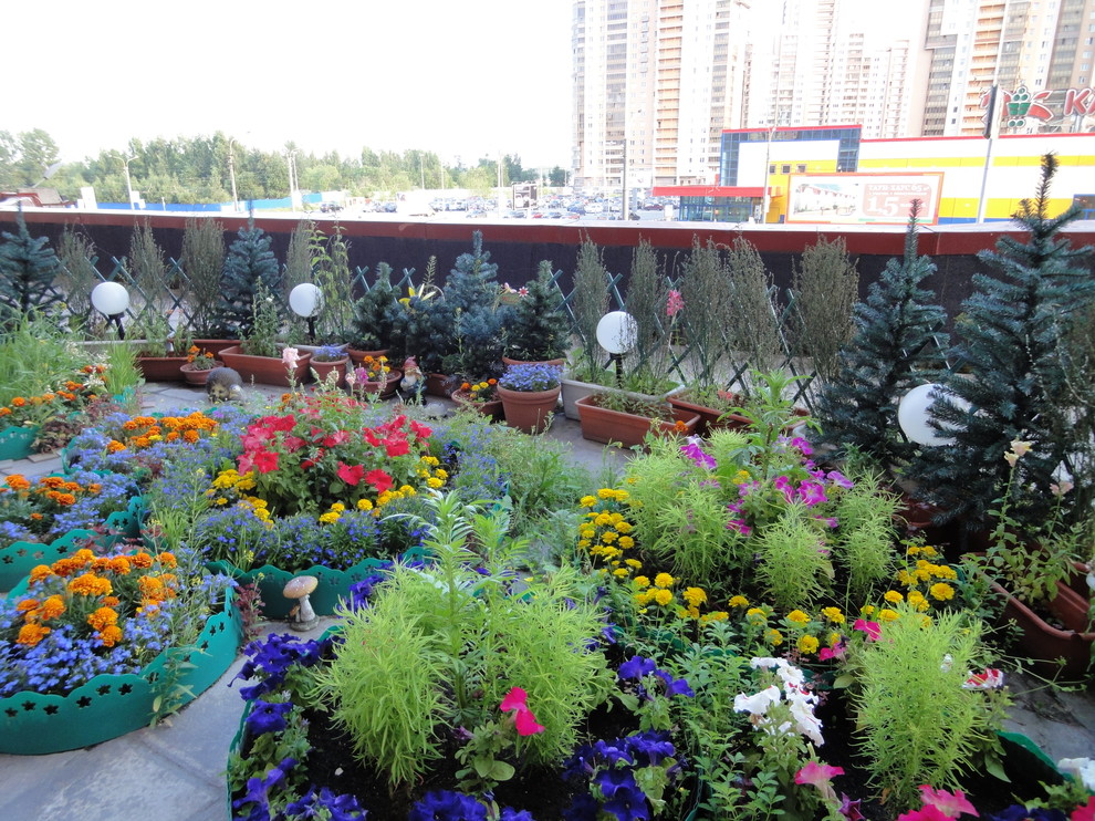 Сад на террасе