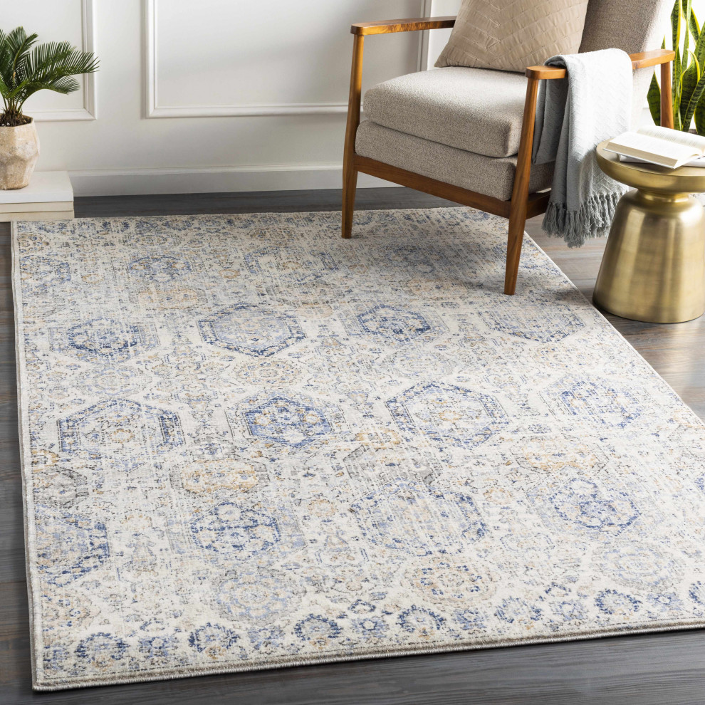 Parkerfield - Contemporary - Area Rugs - by Hauteloom  Houzz