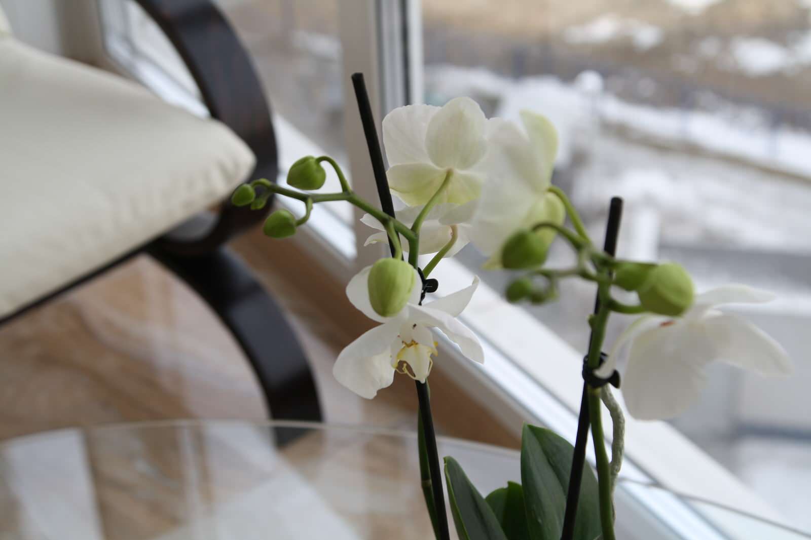 Реализованный проект "Квартира в полосатом доме на Академика  Янгеля"