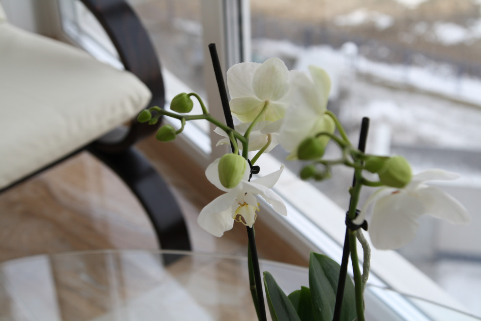 Реализованный проект "Квартира в полосатом доме на Академика  Янгеля"